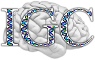 IGC Logo