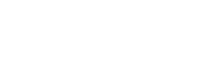 Since its launch in 2013, the USC Mark and Mary Stevens Neuroimaging and Informatics Institute (INI) has established    