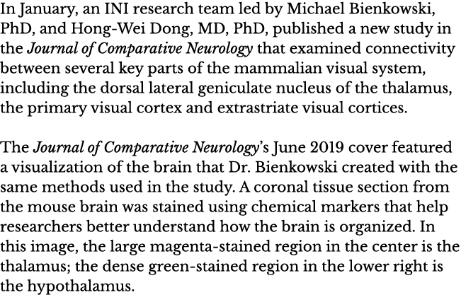 In January, an INI research team led by Michael Bienkowski, PhD, and Hong-Wei Dong, MD, PhD, published a new study in   
