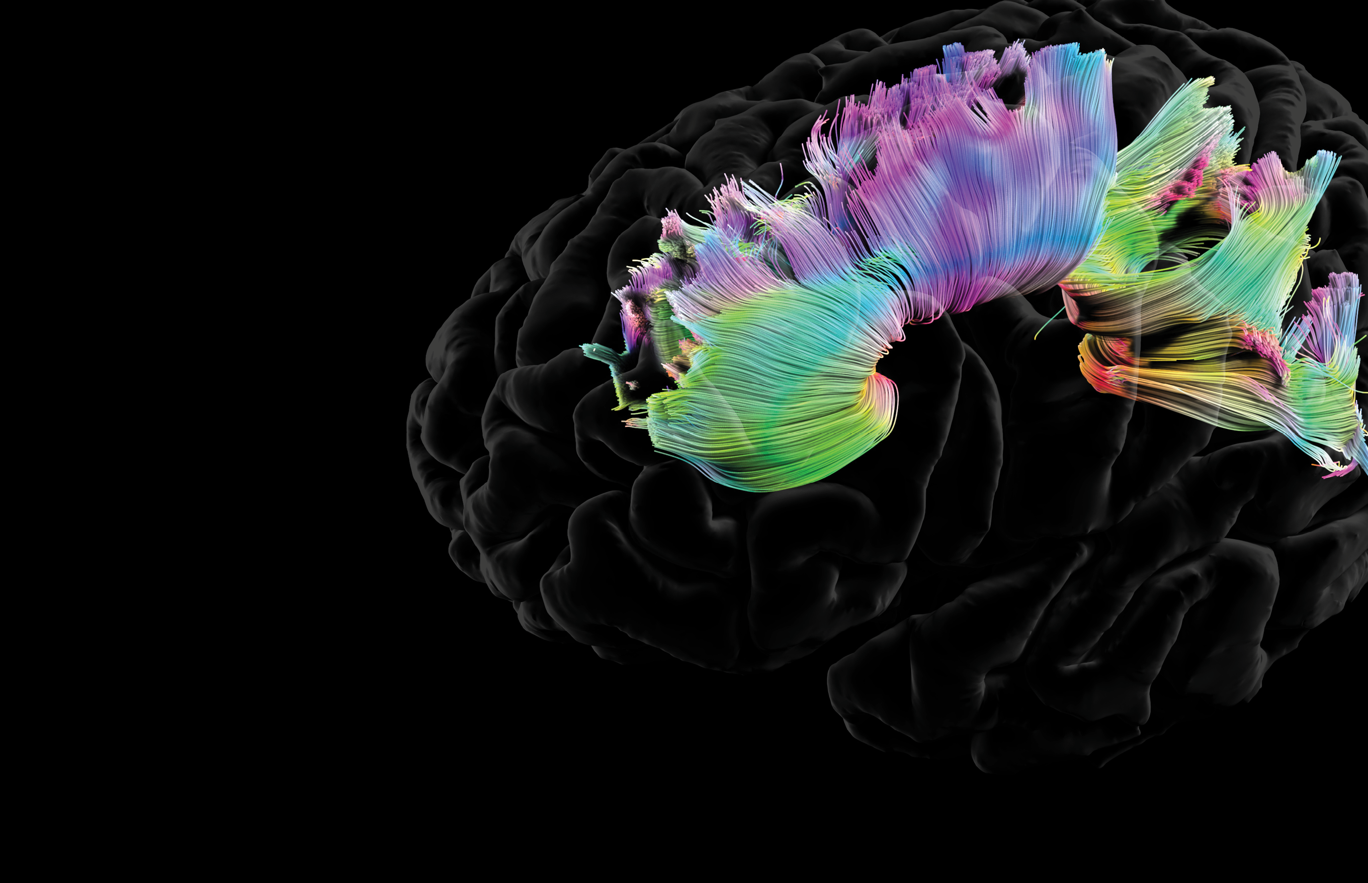 Fusion Studio TIFF File