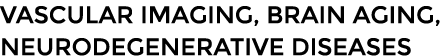 Vascular imaging, brain aging, neurodegenerative diseases 