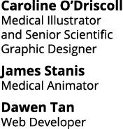 Caroline O Driscoll Medical Illustrator and Senior Scientific Graphic Designer James Stanis Medical Animator Dawen Ta   