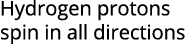 Hydrogen protons spin in all directions