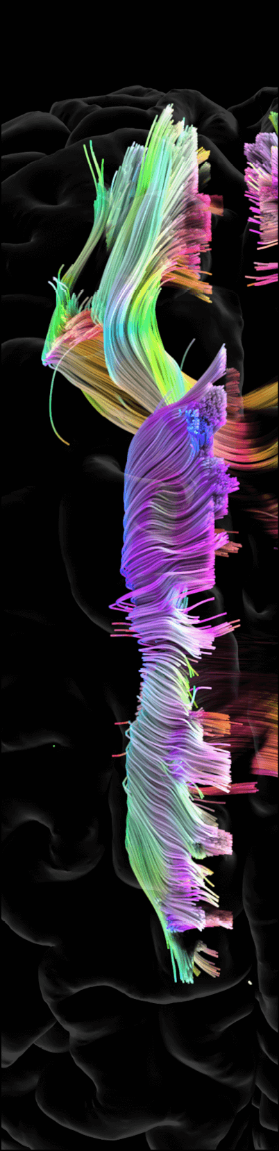 Fusion Studio TIFF File