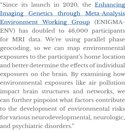  Since its launch in 2020, the Enhancing Imaging Genetics through Meta-Analysis Environment Working Group (ENIGMA-ENV   