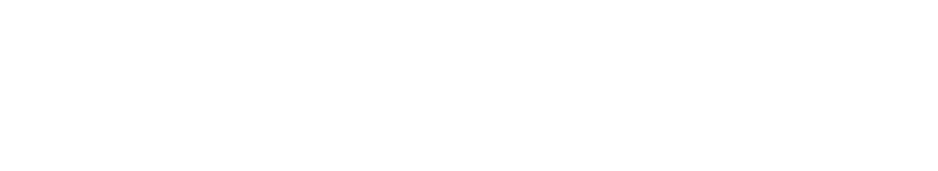 The USC Mark and Mary Stevens Neuroimaging and Informatics Institute (INI) houses a multidisciplinary collaborative o   