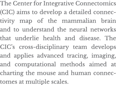 The Center for Integrative Connectomics (CIC) aims to develop a detailed connectivity map of the mammalian brain and    