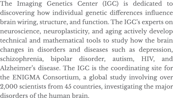 The Imaging Genetics Center (IGC) is dedicated to discovering how individual genetic differences influence brain wiri   
