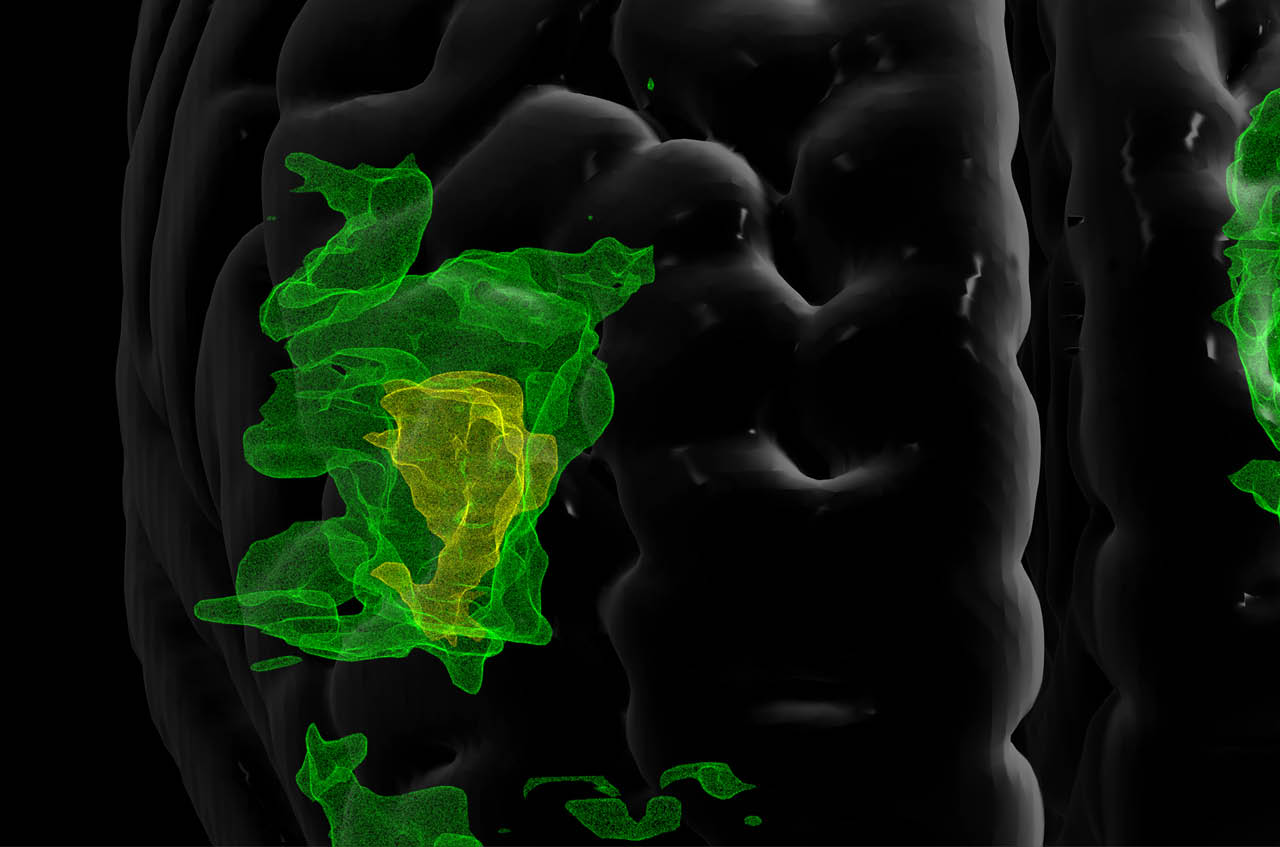 Fusion Studio TIFF File