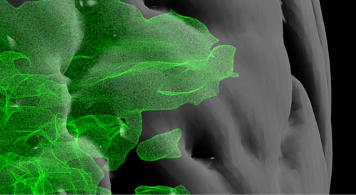 Fusion Studio TIFF File