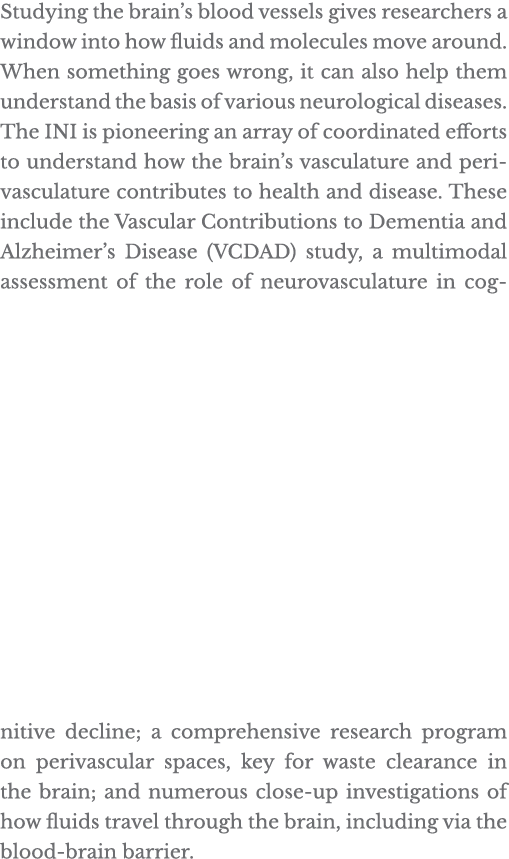 Studying the brain s blood vessels gives researchers a window into how fluids and molecules move around  When somethi   