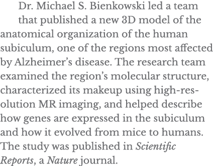 Dr  Michael S  Bienkowski led a team that published a new 3D model of the anatomical organization of the human subicu   