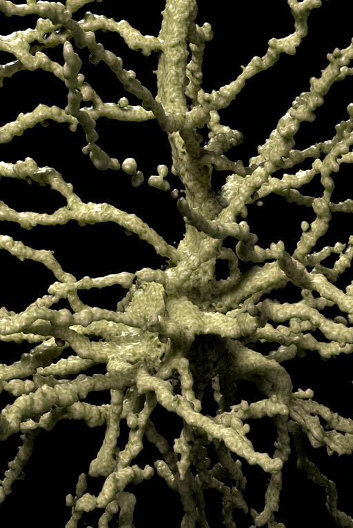 single_neuron_C1_3833x2075__0270 end jpg