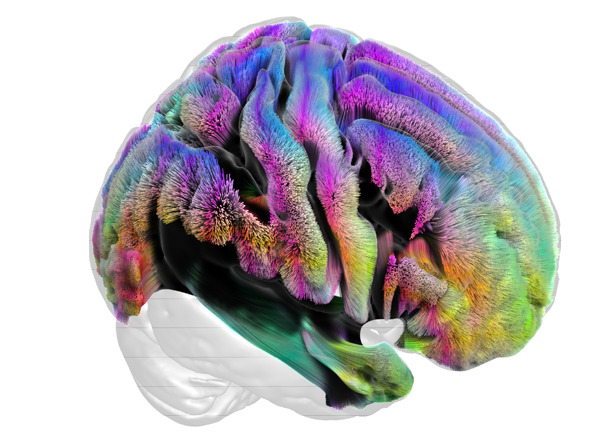 Fusion Studio TIFF File