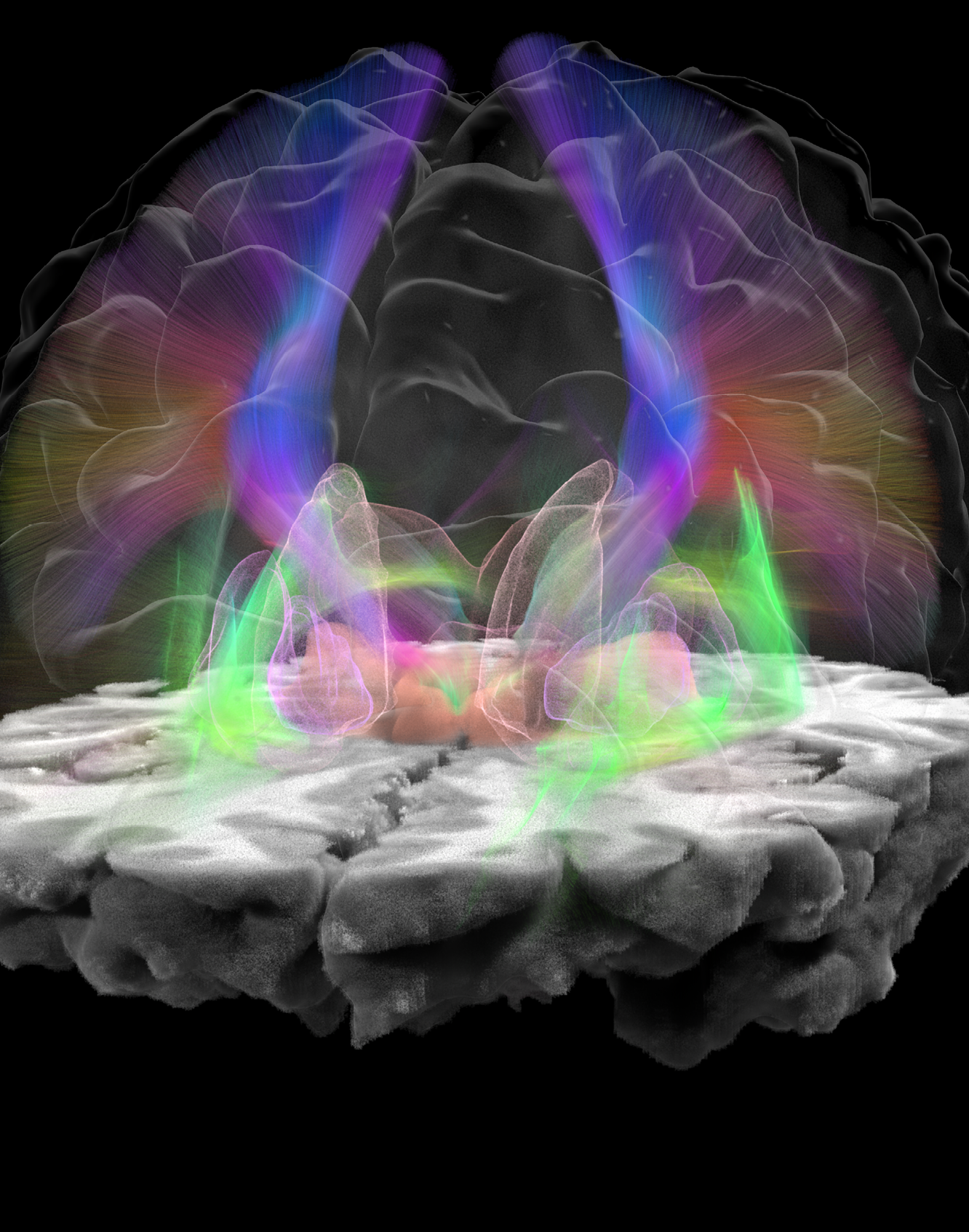 Fusion Studio TIFF File