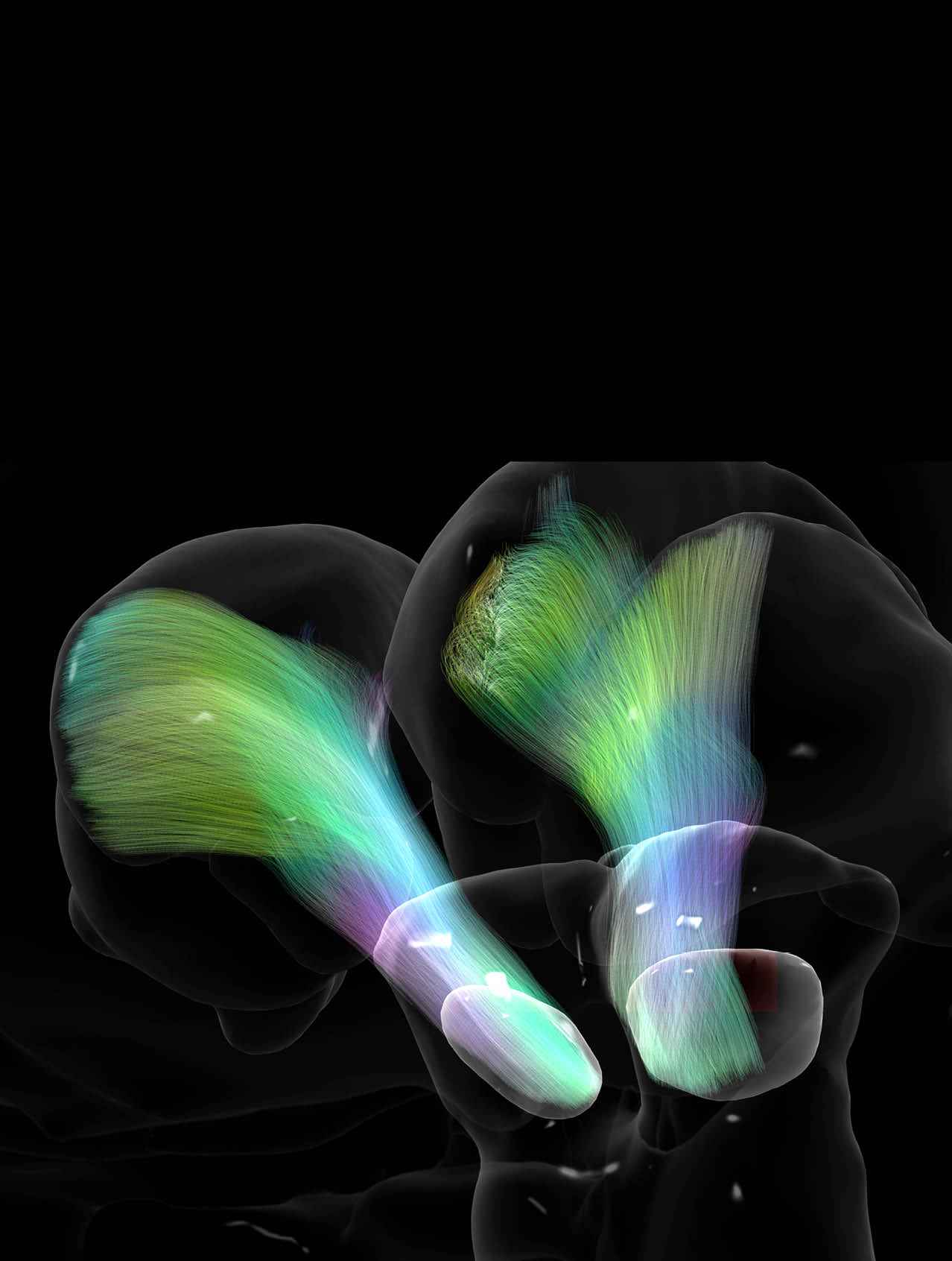 Fusion Studio TIFF File