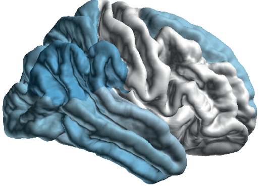 Figure3AB_HY_Staging_Cortical_Results_2 png