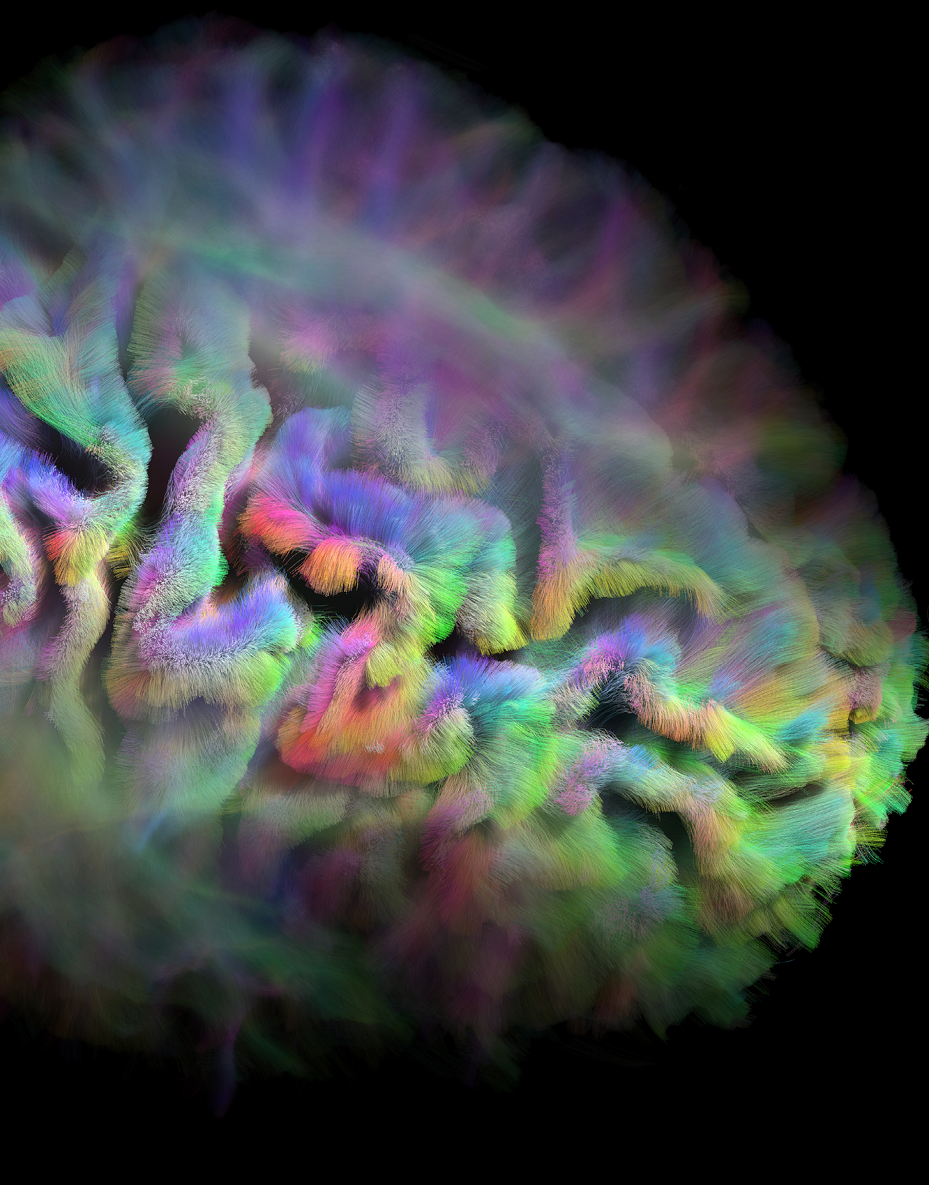 Fusion Studio TIFF File