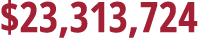  23,313,724