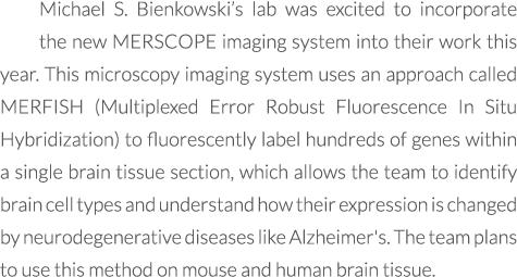 Michael S. Bienkowski’s lab was excited to incorporate the new MERSCOPE imaging system into their work this year. Thi...