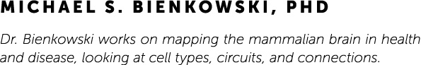 Michael S. Bienkowski, PhD Dr. Bienkowski works on mapping the mammalian brain in health and disease, looking at cell...