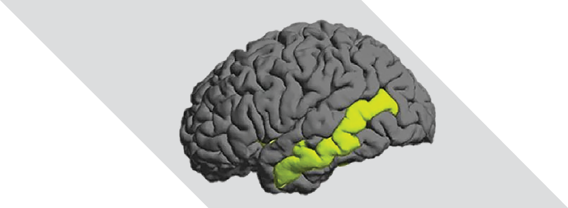 1 mdd image thompson cropped.png