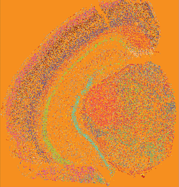 orange Mike image.png