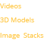 Image Stacks,3D Models ,Video